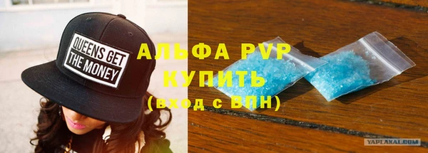 PSILOCYBIN Аркадак