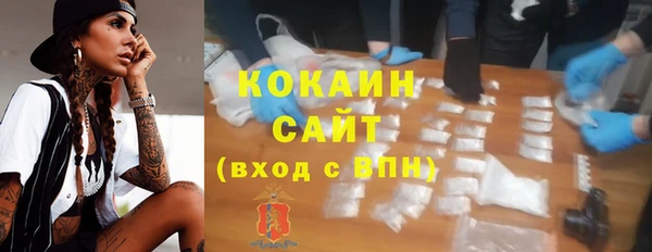 PSILOCYBIN Аркадак