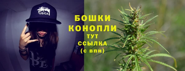 прущие крисы Арсеньев