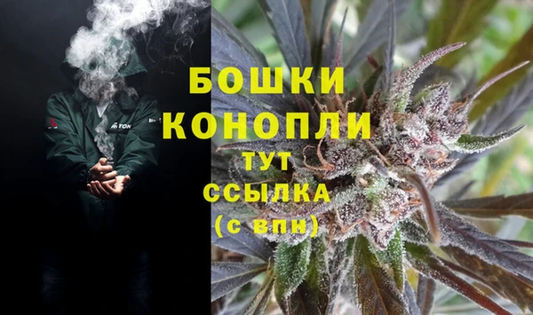 PSILOCYBIN Аркадак