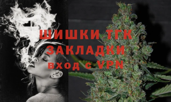 ПСИЛОЦИБИНОВЫЕ ГРИБЫ Строитель