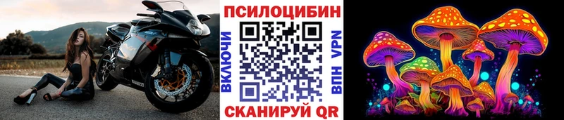 Псилоцибиновые грибы мицелий  Орёл 